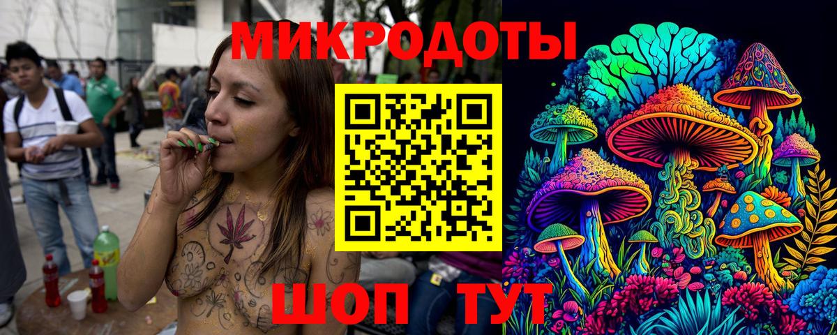 купить наркотики цена  Псилоцибиновые грибы Psilocybe  Вход с VPN  Новороссийск  Псилоцибиновые грибы мухоморы 